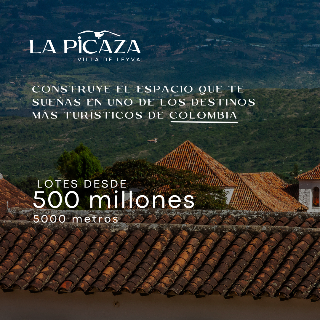 PIEZA IG PICAZA 1png